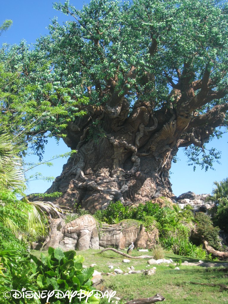 Fastpass to History:  Roots Restaurant