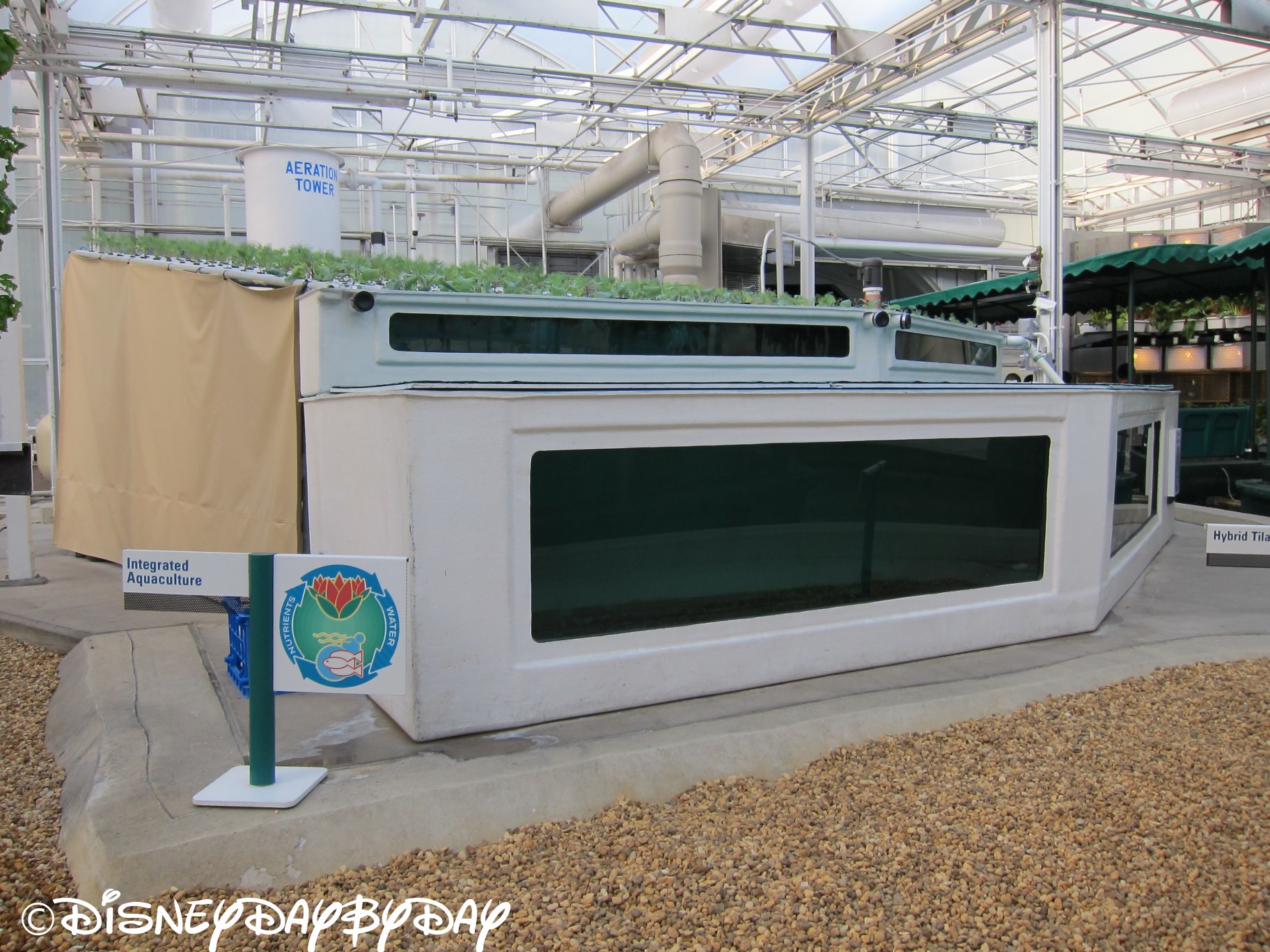 Epcot: Living with the Land | DisneyDayByDay