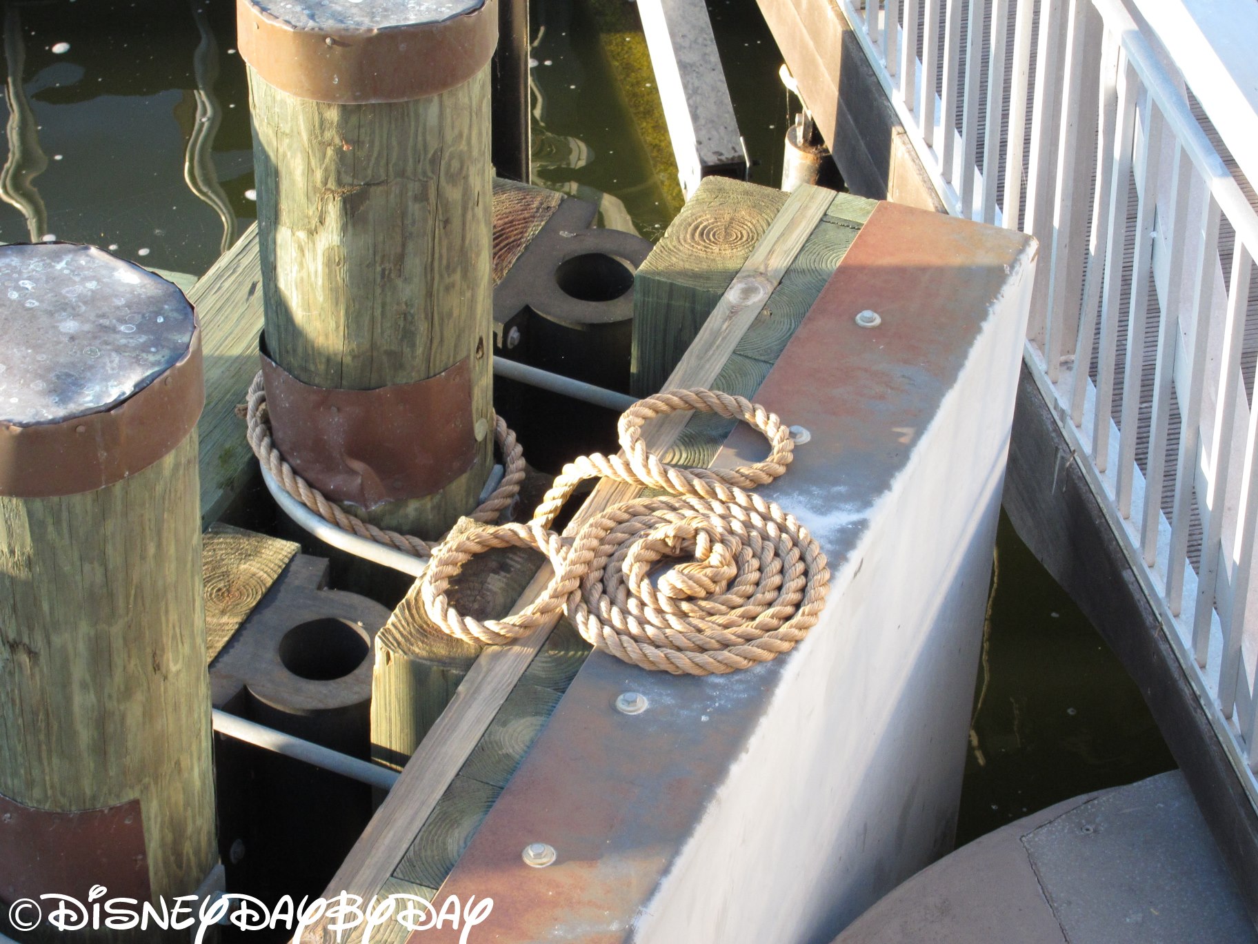 Hidden Mickey Monday – Seven Seas Lagoon