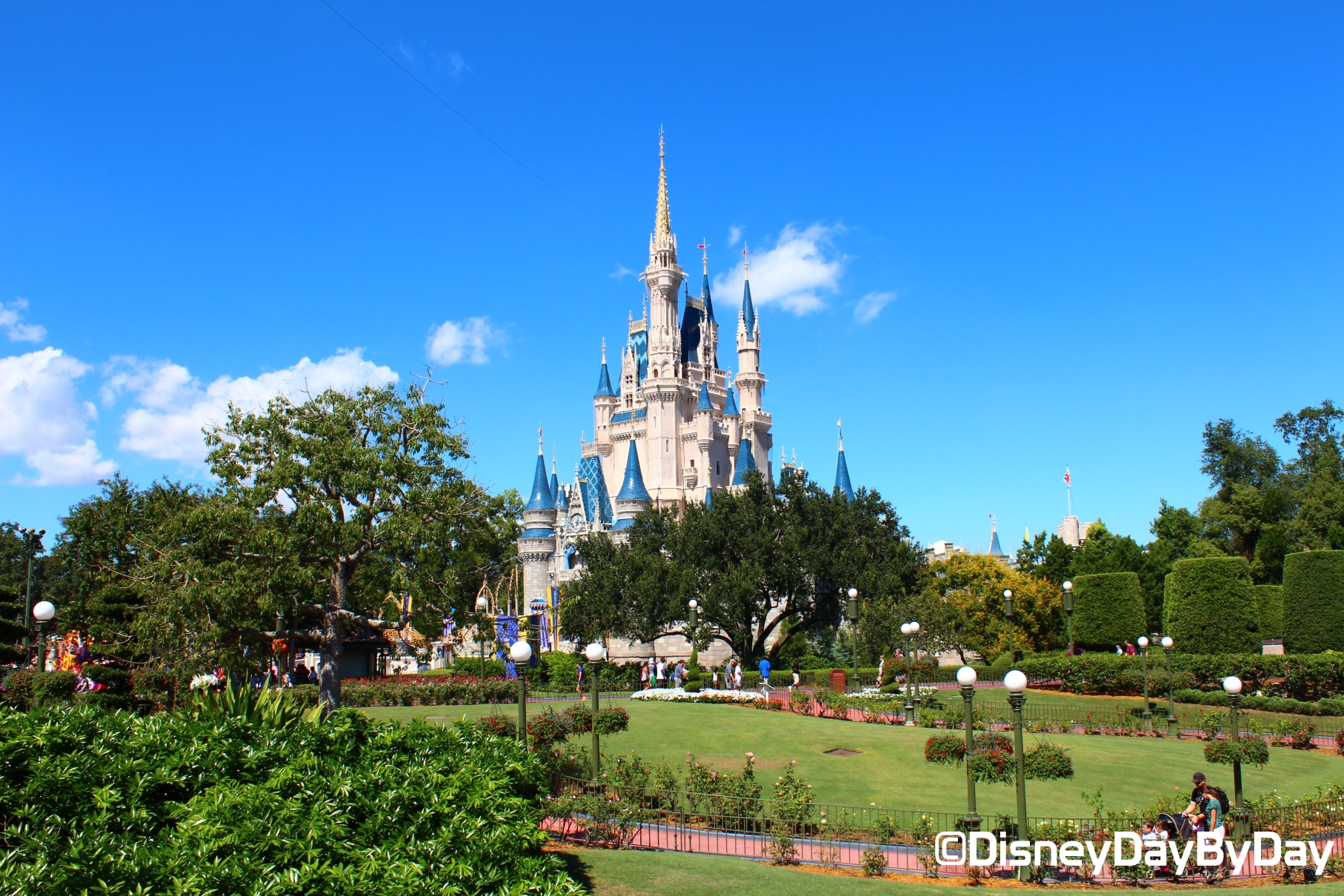 Silent Sunday in the Park