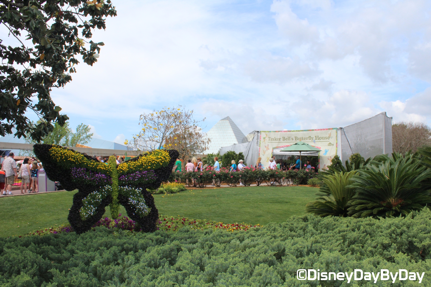Tiggerific Tuesday Trivia :  Tinker Bell’s Butterfly House