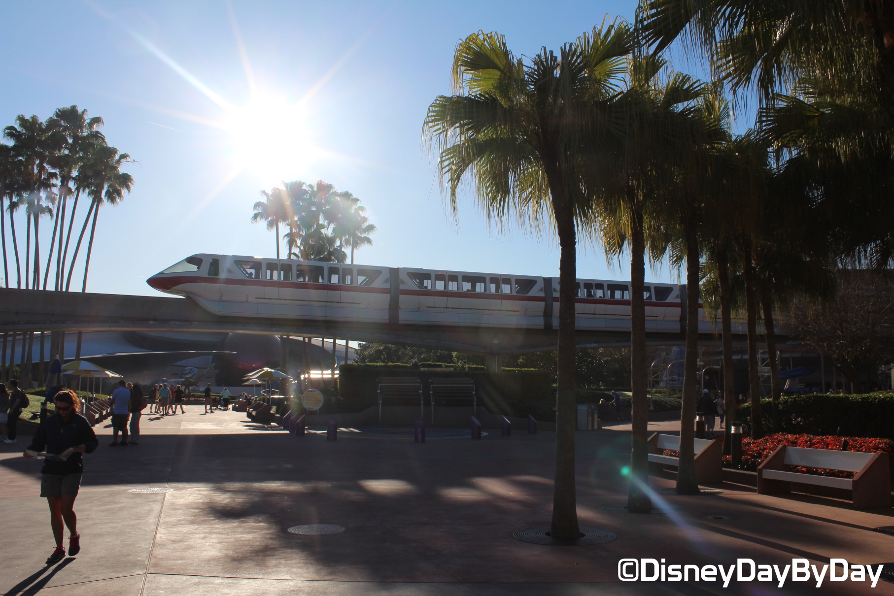 Silent Sunday in the Parks