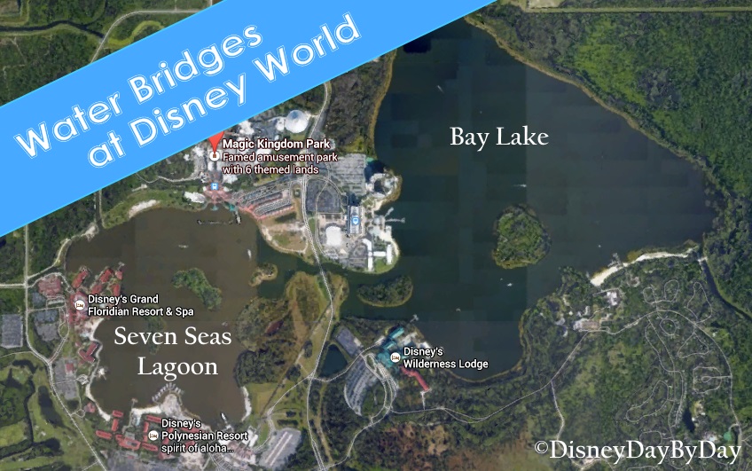 Trivia:  How many water bridges exist at Disney World?