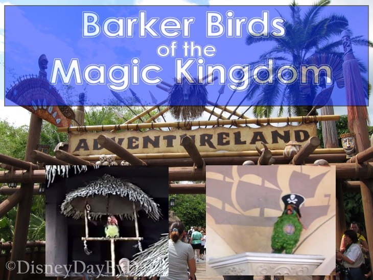 Disney’s Barker Parrots
