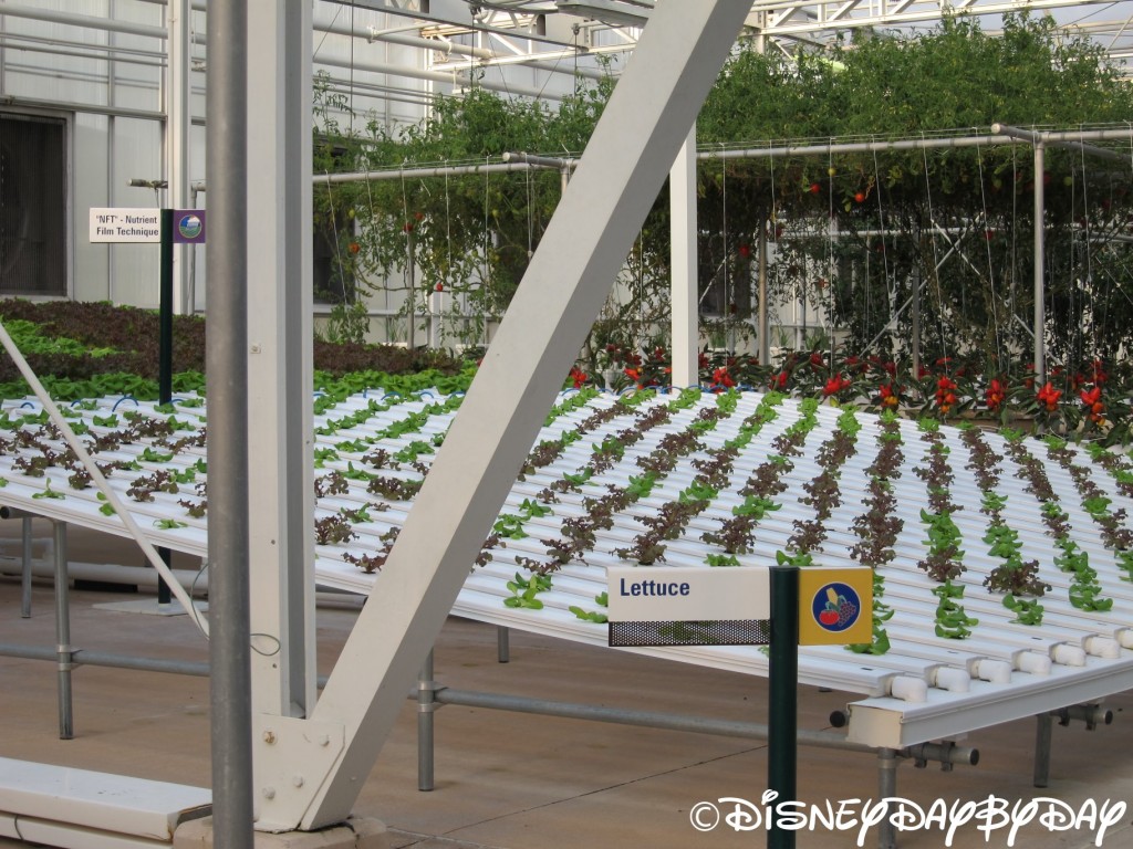 Epcot: Living with the Land | DisneyDayByDay