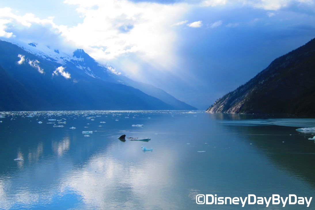 Silent Sunday on a Disney Cruise